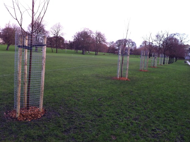 Pilrig Park Tree Planting